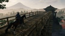 Rise of the Ronin