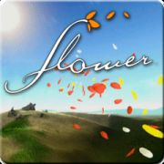 Flower box art