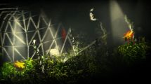 The Swapper