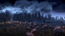 Witcher 3
